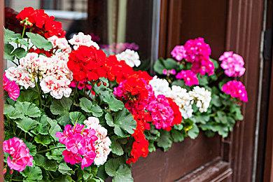 《足球经理26》开发商：前作取消的决定是很正确的